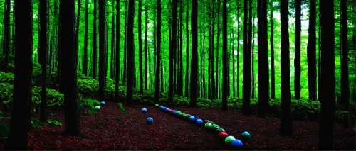 tree grove,grove of trees,spruce forest,forest of dreams,cartoon forest,green forest,row of trees,deciduous forest,coniferous forest,fairy forest,bamboo forest,fir forest,enchanted forest,chestnut forest,germany forest,forest walk,forest floor,happy children playing in the forest,holy forest,mixed forest,Conceptual Art,Daily,Daily 28