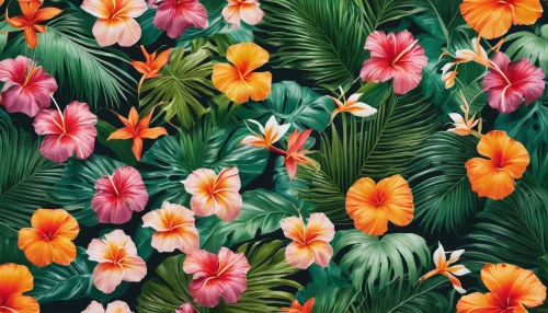 tropical floral background,floral digital background,floral background,tulip background,tropical flowers,flowers png,japanese floral background,flower background,tropical bloom,seamless pattern,floral composition,background pattern,wild tulips,flowers pattern,floral mockup,orange floral paper,botanical print,spring background,colorful floral,orange tulips,Photography,Documentary Photography,Documentary Photography 37