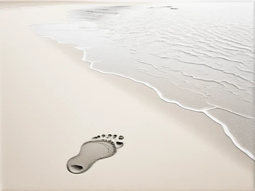 baby footprint,baby footprint in the sand,baby footprints,footprints in the sand,footprint,footprints,footprint in the sand,footstep,ecological footprint,foot prints,foot print,footsteps,bird footprints,walk on the beach,sand seamless,white sand,baby feet,carbon footprint,slide canvas,shoe imprint,Illustration,Black and White,Black and White 09
