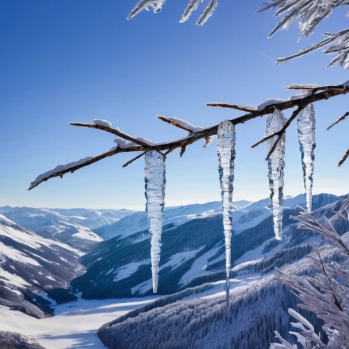 icicles,icicle,crampons,ortler winter,ski equipment,ski touring,arlberg,the russian border mountains,hoarfrost,winter landscape,ice crystals,winter sports,ski mountaineering,winter background,transfagarasan,cross-country skiing,fagaras,the transfagarasan,avalanche protection,ice crystal,Conceptual Art,Graffiti Art,Graffiti Art 02