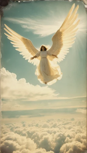 dove of peace,doves of peace,peace dove,holy spirit,white dove,angel wing,angel wings,vintage angel,angelology,bird in the sky,dove,uriel,flying bird,white bird,believe can fly,doves,divine healing energy,beautiful dove,gracefulness,photo manipulation,Photography,Documentary Photography,Documentary Photography 03