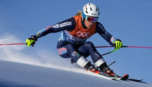 ski cross,alpine skiing,speed skiing,nordic combined,ski jumping,telemark skiing,downhill ski binding,cross-country skier,ski race,ski binding,slalom,slalom skiing,skier,piste,cable skiing,freestyle skiing,ski touring,ski mountaineering,skijoring,biathlon,Illustration,Abstract Fantasy,Abstract Fantasy 21