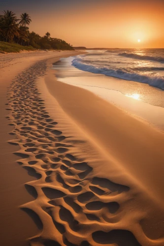 footprints in the sand,sand paths,sand waves,tracks in the sand,beach landscape,sand pattern,beautiful beaches,brazilian beach,sunrise beach,beautiful beach,sand coast,footprint in the sand,golden sands,dream beach,beach scenery,coral pink sand dunes,footprints,sand dune,sunset beach,dune landscape,Photography,General,Fantasy