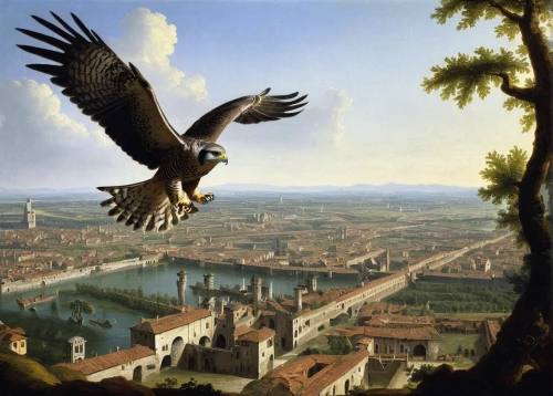 arno river,verona,pavia,ganymede,falconiformes,lazio,lucca,glaucidium passerinum,eternal city,northern harrier,firenze,certosa di pavia,montgolfiade,florence,broad winged hawk,kunsthistorisches museum,tiber,tyto longimembris,eagle illustration,bird flight,Art,Classical Oil Painting,Classical Oil Painting 25