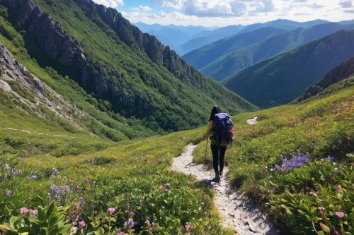 the valley of flowers,fagaras,via ferrata,the chubu sangaku national park,alpine route,the descent to the lake,trail searcher munich,haute-savoie,mountain hiking,central tien shan,bucegi mountains,july pass,highline trail,high-altitude mountain tour,alpine crossing,slovak tatras,tannheimertal,transfagarasan,berchtesgaden national park,slowinski national park,Illustration,Paper based,Paper Based 16