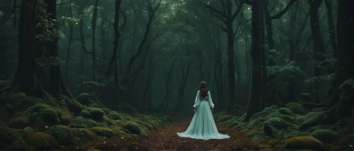 ballerina in the woods,forest of dreams,enchanted forest,fairy forest,holy forest,elven forest,forest path,haunted forest,the forest,fairytale forest,in the forest,forest,enchanted,forest walk,forest background,dryad,the mystical path,foggy forest,forest dark,green forest,Photography,Documentary Photography,Documentary Photography 08