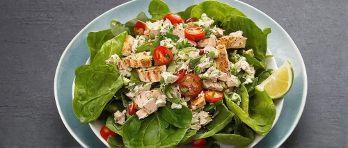 shrimp salad,spinach salad,vegetable prawn salad,shrimps and feta,chinese chicken salad,sea salad,greek salad,avocado shrimp salad,saladitos,side salad,salad niçoise,rajas con crema,tuna salad,insalata caprese,waldorf salad,fattoush,cut salad,garden salad,ceviche,tabbouleh,Illustration,American Style,American Style 03