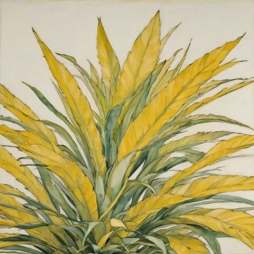 watercolor leaves,tropical leaf pattern,yucca palm,foliage coloring,yellow nutsedge,tropical leaf,palm lilies,foliage leaves,palm leaves,sabal palmetto,palm lily,foliage leaf,pineapple lily,cycad,pineapple lilies,lemongrass,watercolor leaf,palm pasture,foliage,watercolour leaf,Conceptual Art,Oil color,Oil Color 15