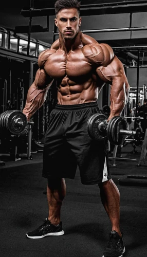 bodybuilding supplement,bodybuilding,buy crazy bulk,body building,crazy bulk,anabolic,body-building,biceps curl,bodybuilder,basic pump,edge muscle,dumbell,dumbbells,strongman,dumbbell,triceps,shredded,muscle angle,muscular,pair of dumbbells,Photography,Fashion Photography,Fashion Photography 10