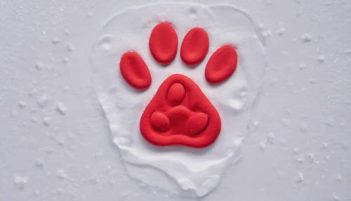 paw prints,paw print,pawprint,pawprints,cat paw mist,paw,animal tracks,dog cat paw,handprint,dog paw,cat's paw,paws,bear footprint,hand print,bear paw,rain cats and dogs,wall,footprint,foot prints,bird footprints,Unique,3D,Clay
