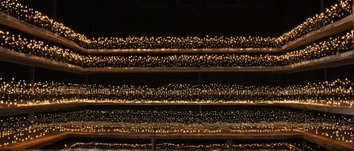 garland of lights,garland lights,string of lights,luminous garland,the dubai mall entrance,string lights,the holiday of lights,fractal lights,tealight,lights serenade,candlelights,berlin philharmonic orchestra,the lights,tea lights,christmas light,tea-lights,rows of seats,tree lights,sacrificial lights,advent candles,Photography,Documentary Photography,Documentary Photography 31