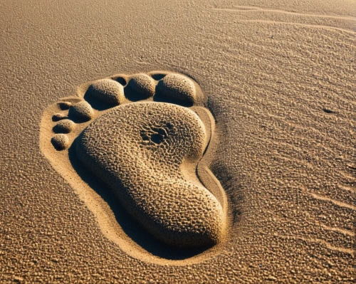 footprint,footprints in the sand,footprints,baby footprint,footprint in the sand,baby footprint in the sand,footstep,ecological footprint,baby footprints,foot print,foot prints,footsteps,sand seamless,bird footprints,sandal,carbon footprint,walk on the beach,toe,shoe imprint,flip-flops,Illustration,Vector,Vector 12