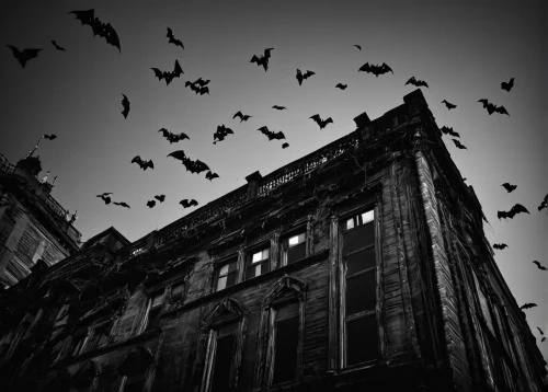 murder of crows,dark gothic mood,whitby goth weekend,jackdaws,haunted house,the haunted house,gothic architecture,crows,haunted cathedral,goth whitby weekend,witch house,gothic,bats,asylum,pigeon flight,gothic style,gargoyles,haunted castle,blackbirds,ghost castle,Photography,Black and white photography,Black and White Photography 01