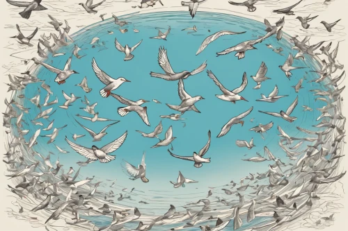 flock of birds,birds in flight,bird migration,flying birds,birds flying,doves of peace,mumuration,migratory birds,passenger pigeon,seagulls flock,a flock of pigeons,terns,bird flight,dove of peace,pigeon flight,flock,swallows,birds blue cut glass,bird pattern,the birds,Unique,Design,Infographics