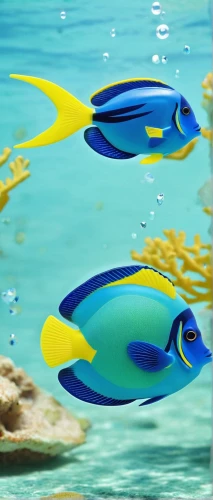 lemon surgeonfish,pallet surgeonfish,lemon butterflyfish,lemon doctor fish,coral reef fish,wrasses,blue angel fish,blue stripe fish,angelfish,triggerfish,butterfly fish,imperator angelfish,trigger fish,mahi mahi,marine fish,mahi-mahi,butterflyfish,blue fish,tropical fish,ray-finned fish,Unique,3D,Garage Kits