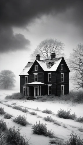 creepy house,abandoned house,lonely house,witch house,the haunted house,haunted house,abandoned place,winter house,witch's house,gray-scale,abandoned places,ghost castle,lostplace,farmhouse,abandoned,house silhouette,disused,desolation,old house,snow house,Illustration,Abstract Fantasy,Abstract Fantasy 22