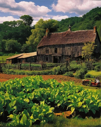 vegetables landscape,farm landscape,organic farm,vegetable field,rural landscape,agricultural,vegetable garden,permaculture,farm,countryside,agriculture,the farm,stock farming,picking vegetables in early spring,farm yard,agroculture,farms,home landscape,farm hut,farmstead,Illustration,Realistic Fantasy,Realistic Fantasy 33