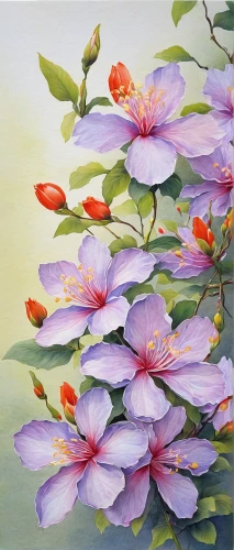 flower painting,chinese magnolia,magnolia,lilac hibiscus,magnolias,rhododendron,pink water lilies,water lilies,watercolour flowers,azaleas,lotus flowers,magnolia flowers,hibiscus flowers,pasque-flower,carol colman,watercolor flowers,frangipani,pond flower,tommie crocus,lotuses,Conceptual Art,Daily,Daily 10
