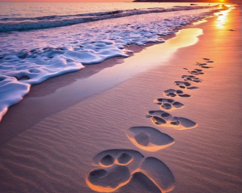 footprints in the sand,footprints,baby footprints,tracks in the sand,sand paths,foot prints,footsteps,footprint in the sand,walk on the beach,bird footprints,footprint,footstep,paw prints,sand pattern,sand waves,baby footprint in the sand,beautiful beaches,beautiful beach,flip-flops,foot print,Photography,Documentary Photography,Documentary Photography 25