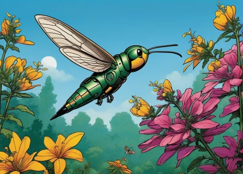 blister beetles,flower fly,pellucid hawk moth,pollinator,cuckoo wasps,pollination,drone bee,pollinating,megachilidae,pollinate,wild bee,sunflowers and locusts are together,insects,bee balm,drawing bee,flying insect,artificial fly,chrysops,bee,entomology,Illustration,Children,Children 05