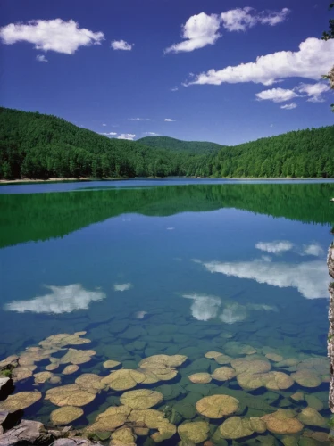 laacher lake,high mountain lake,slowinski national park,alpine lake,spring lake,beautiful lake,alligator lake,lake terchin,medicine lake,mountain lake,mountainlake,heaven lake,two jack lake,balea lake,vermont,powell lake,vilsalpsee,starnberger lake,lake rose,l pond,Art,Artistic Painting,Artistic Painting 22