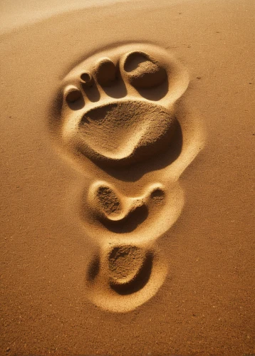 footprints,footprints in the sand,baby footprint,footprint,baby footprint in the sand,footprint in the sand,baby footprints,foot print,foot prints,footstep,footsteps,paw prints,bird footprints,animal tracks,pawprint,paw print,bear footprint,sand paths,pawprints,sand pattern,Conceptual Art,Fantasy,Fantasy 28