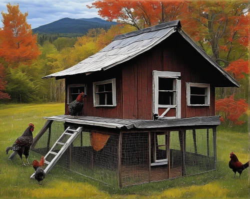 a chicken coop,chicken coop,chicken coop door,chicken farm,dog house frame,dog house,chicken yard,pigeon house,backyard chickens,bird house,autumn chores,bird home,domestic chicken,red hen,farm hut,laying hens,birdhouse,mobile home,wooden birdhouse,children's playhouse,Conceptual Art,Daily,Daily 34