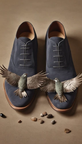 linen shoes,achille's heel,alcedo atthis,bird feet,espadrille,wingtip,outdoor shoe,feathered,men's shoes,flapper shoes,ballet flat,mens shoes,shoemaker,mazarine blue,oxford shoe,pair of pigeons,baby & toddler shoe,talons,ornithology,pied triller brown,Photography,Fashion Photography,Fashion Photography 15