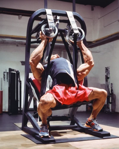 overhead press,squat position,biceps curl,pull-ups,horizontal bar,bodybuilding supplement,weightlifting machine,exercise equipment,strength training,training apparatus,weight plates,to lift,strengthening,free weight bar,equal-arm balance,leg extension,pair of dumbbells,street workout,pull-up,squat,Unique,3D,Modern Sculpture