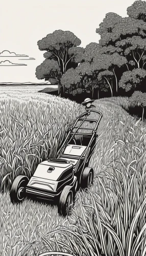 the rice field,ricefield,yamada's rice fields,rice field,rice fields,rice paddies,paddy harvest,sugarcane,paddy field,palm pasture,alligator alley,suitcase in field,cool woodblock images,sugar cane,cornfield,salt pasture,field of cereals,corn field,illustration of a car,bed in the cornfield,Illustration,Black and White,Black and White 19