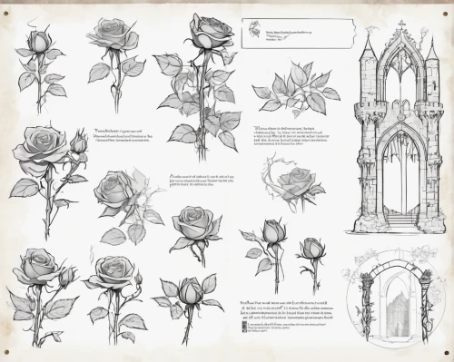 roses pattern,rose flower illustration,digiscrap,scrapbook flowers,gothic architecture,flower illustrative,flower essences,illustrations,gothic style,wild roses,rosebushes,bach flowers,polyantha rose,hellebore,bellflowers,flower line art,noble roses,fairy tale icons,gothic church,gothic,Unique,Design,Character Design