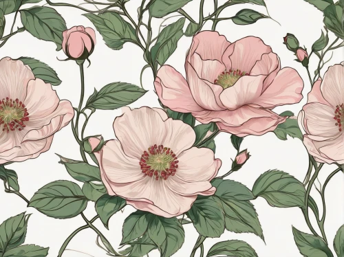 floral digital background,peonies,peony,roses pattern,japanese floral background,floral background,peony pink,watercolor floral background,rose flower illustration,wild peony,japanese anemone,floral mockup,botanical print,paper flower background,pink floral background,common peony,japanese anemones,pink peony,dog roses,flowers pattern,Illustration,Retro,Retro 08