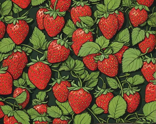 strawberries,strawberry,fruit pattern,strawberry plant,virginia strawberry,mock strawberry,red strawberry,strawberry ripe,alpine strawberry,strawberries falcon,salad of strawberries,strawberry tree,strawberry jam,many berries,wild strawberries,berries,colored pencil background,seamless pattern,fresh berries,berry,Illustration,American Style,American Style 15