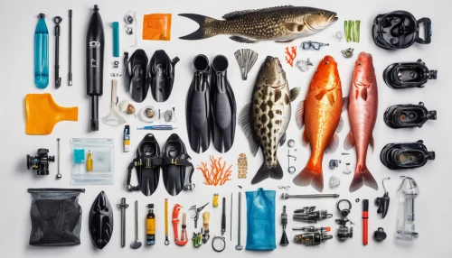 fishing equipment,diving equipment,monopod fisherman,fishing gear,types of fishing,tackle box,hiking equipment,surfing equipment,fishing lure,marine diversity,the living room of a photographer,photo equipment with full-size,scuba diving,snorkeling,underwater diving,divemaster,big-game fishing,fish collage,photography equipment,freediving,Unique,Design,Knolling
