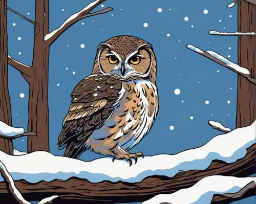 siberian owl,barred owl,owl background,spotted-brown wood owl,owl drawing,spotted wood owl,owl art,christmas owl,owl nature,snow owl,nite owl,lapland owl,brown owl,tawny owl,owl pattern,kirtland's owl,winter animals,owl,sparrow owl,boobook owl,Illustration,Vector,Vector 11