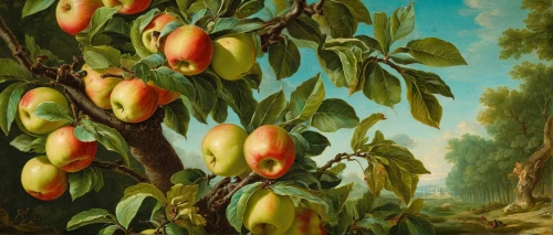fruit tree,fruit trees,cart of apples,apple pair,bell apple,fruit fields,the fruit,apple trees,apple harvest,apricot,apple tree,fruit bush,frutti di bosco,woman eating apple,guava,orchards,still life of spring,apricots,nectarines,orchard,Art,Classical Oil Painting,Classical Oil Painting 36