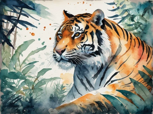 a tiger,bengal tiger,tiger,asian tiger,sumatran tiger,tigers,siberian tiger,tiger png,bengal,tiger cub,tigerle,endangered,chestnut tiger,watercolor painting,tiger head,glass painting,animal portrait,young tiger,watercolor background,sumatran,Illustration,Paper based,Paper Based 25