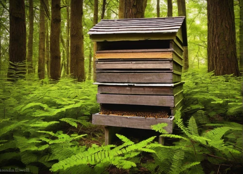bee hive,apiary,beekeeping,bee house,beehives,beekeepers,bee keeping,bee colony,bee-keeping,beekeeper plant,bee farm,beekeeper,hive,bee colonies,honey bee home,beehive,the hive,hives,bee hotel,bushbox,Photography,Documentary Photography,Documentary Photography 26