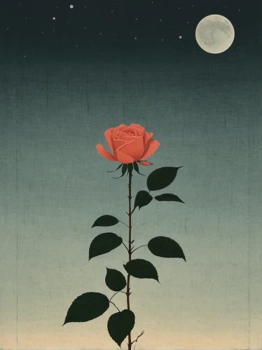 rose flower illustration,blue moon rose,landscape rose,japan rose,culture rose,the sleeping rose,romantic rose,ikebana,rose bloom,bibernell rose,way of the roses,rose order,cool woodblock images,seerose,single flower,sleeping rose,rose,night view of red rose,red rose,rose png,Illustration,Japanese style,Japanese Style 08