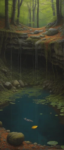 underground lake,swampy landscape,mountain spring,brook landscape,water scape,the brook,underwater landscape,waterscape,pond,cave on the water,crescent spring,creek,water spring,swamp,streams,cenote,a small lake,brook,thermal spring,forest glade,Conceptual Art,Daily,Daily 30