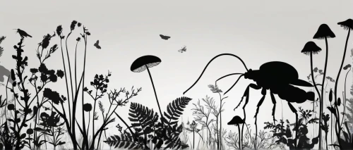 wild meadow,wild seeds,flying seeds,brook avens,autumnalis,coneflowers,dandelion seeds,grasses in the wind,helianthus,rushes,black and dandelion,garden silhouettes,small meadow,scattered flowers,meadow plant,bulrush,cotton grass,teasel,dandelion flying,isolated butterfly,Illustration,Black and White,Black and White 31