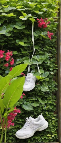 garden shoe,hanging plants,hanging plant,outdoor shoe,climbing garden,wisteria shelf,thai garland,linen shoes,clothes hangers,climbing plant,garden sculpture,photos on clothes line,garden decoration,tropical bird climber,garden swing,outdoor plants,bicycle shoe,walking shoe,bathing shoes,garden decor,Illustration,Japanese style,Japanese Style 13