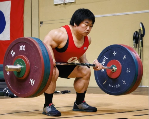 kai yang,weightlifting,powerlifting,su yan,weightlifter,weight lifter,miyeok guk,weightlifting machine,choi kwang-do,tai qi,shuai jiao,weight plates,siu yeh,xiangwei,deadlift,barbell,han bok,squat position,luo han guo,overhead press,Illustration,Japanese style,Japanese Style 17