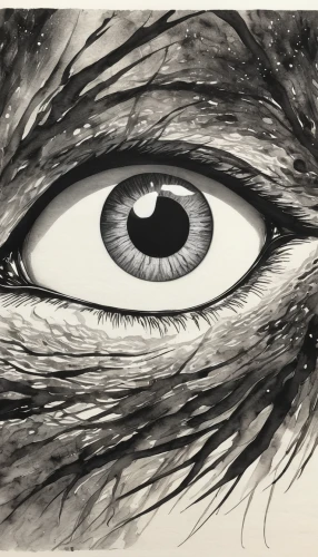 charcoal drawing,horse eye,eyes line art,charcoal pencil,charcoal,abstract eye,women's eyes,eyeball,cat eye,eye of a donkey,big ox eye,eye,graphite,regard,cat eyes,pupil,eye ball,crocodile eye,cat's eyes,ink painting,Illustration,Paper based,Paper Based 30