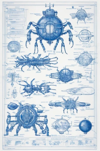 blueprint,blueprints,scarabs,scarab,airships,glass signs of the zodiac,space ships,sheet drawing,zooplankton,wireframe graphics,spaceships,zodiac,nautical paper,playmat,carapace,arthropods,pioneer 10,carrack,placemat,seamless pattern,Unique,Design,Blueprint
