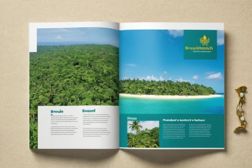 brochure,tropical and subtropical coniferous forests,brochures,annual report,coconut palms,print publication,guide book,coconut water bottling plant,coconut trees,coconut water concentrate plant,magazine - publication,website design,publications,landing page,wakatobi,tropical greens,wordpress design,coconut palm,atoll,widi islands,Art,Classical Oil Painting,Classical Oil Painting 31