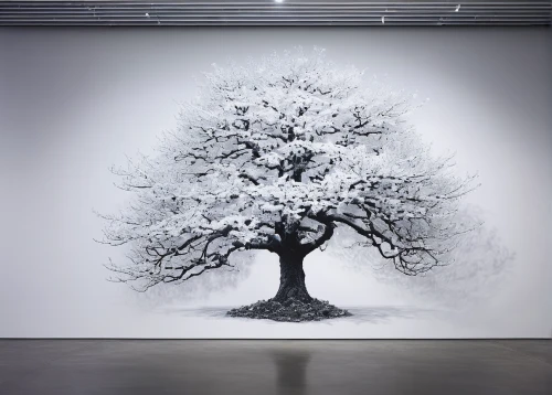 snow tree,snowy tree,tree white,winter tree,isolated tree,blossom tree,the japanese tree,white room,flourishing tree,chrysanthemum exhibition,seasonal tree,treemsnow,tree thoughtless,the branches of the tree,trees with stitching,bare tree,white mulberry,tree of life,deciduous tree,apple tree,Conceptual Art,Graffiti Art,Graffiti Art 11