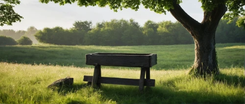 chair in field,outdoor bench,bench chair,wooden bench,bench,park bench,hunting seat,old chair,garden bench,suitcase in field,benches,chair,wood bench,rocking chair,meadow landscape,stone bench,armchair,red bench,garden swing,folding chair,Photography,Documentary Photography,Documentary Photography 19