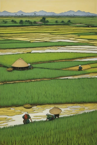 rice fields,the rice field,ricefield,rice field,yamada's rice fields,rice paddies,rice cultivation,paddy field,paddy harvest,rice terrace,rice mountain,cultivated field,inle lake,barley cultivation,rural landscape,farm landscape,mekong,cool woodblock images,vietnam,japan landscape,Illustration,Black and White,Black and White 28