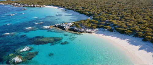 rottnest island,rottnest,sardinia,balearic islands,the balearics,lavezzi isles,aerial view of beach,balearica,cayo santamaria,cayo largo,bermuda,cayo santa maria,similan island,corsican,cala gonone,duiker island,greek islands,lycian,great barrier reef,archipelago,Photography,Documentary Photography,Documentary Photography 37